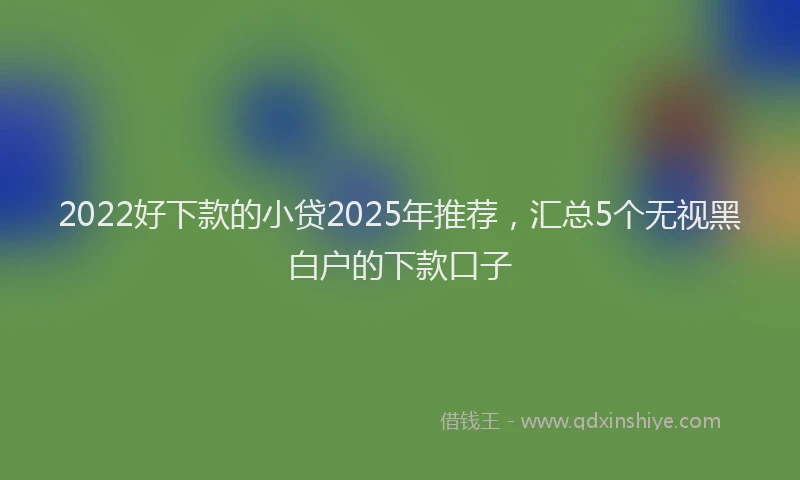 2022好下款的小贷2025年推荐，汇总5个无视黑白户的下款口子