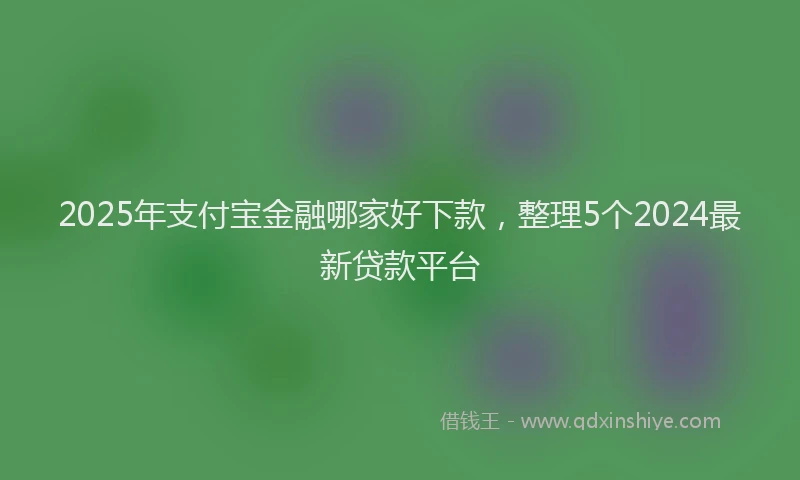 2025年支付宝金融哪家好下款，整理5个2024最新贷款平台