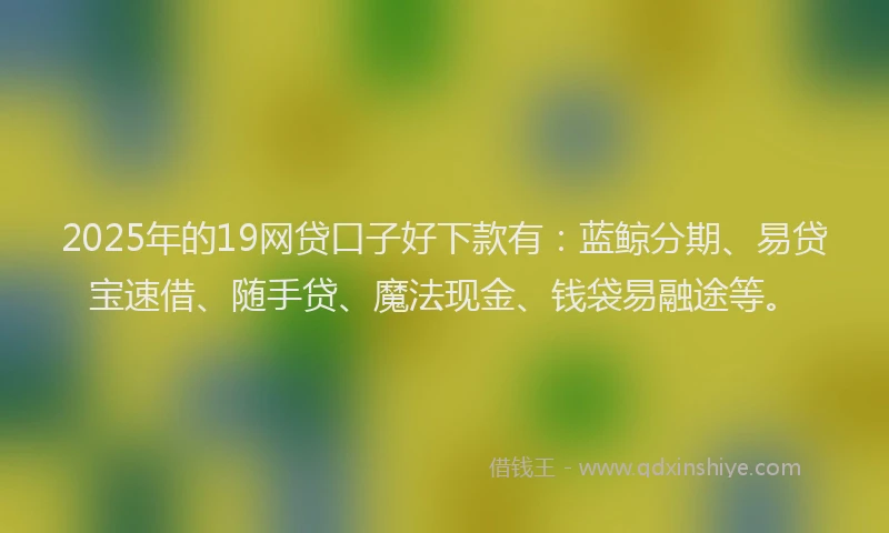 2025年的19网贷口子好下款有：蓝鲸分期、易贷宝速借、随手贷、魔法现金、钱袋易融途等。