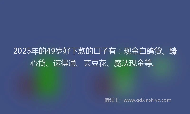 2025年的49岁好下款的口子有：现金白鸽贷、臻心贷、速得通、芸豆花、魔法现金等。