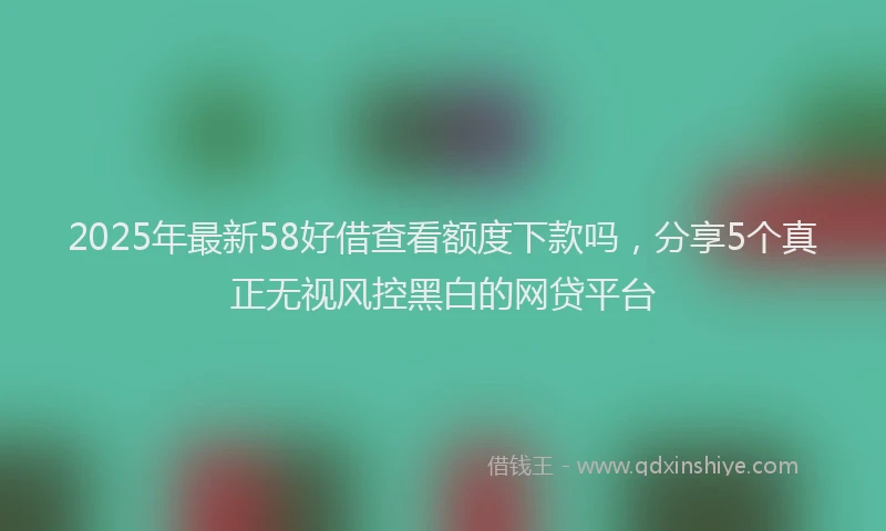2025年最新58好借查看额度下款吗，分享5个真正无视风控黑白的网贷平台