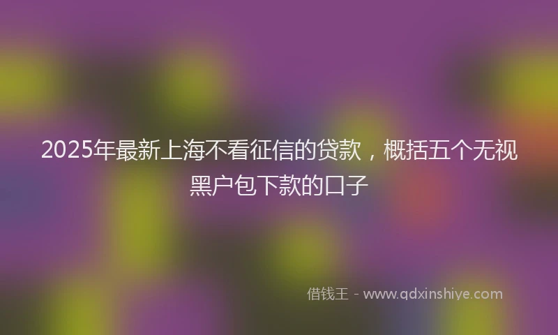 2025年最新上海不看征信的贷款，概括五个无视黑户包下款的口子
