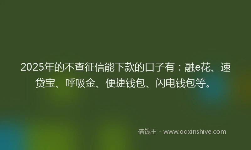 2025年的不查征信能下款的口子有：融e花、速贷宝、呼吸金、便捷钱包、闪电钱包等。