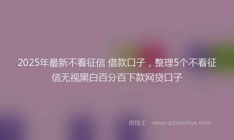 2025年最新不看征信 借款口子，整理5个不看征信无视黑白百分百下款网贷口子