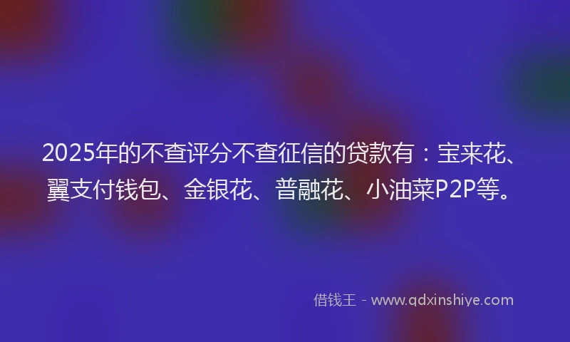2025年的不查评分不查征信的贷款有：宝来花、翼支付钱包、金银花、普融花、小油菜P2P等。