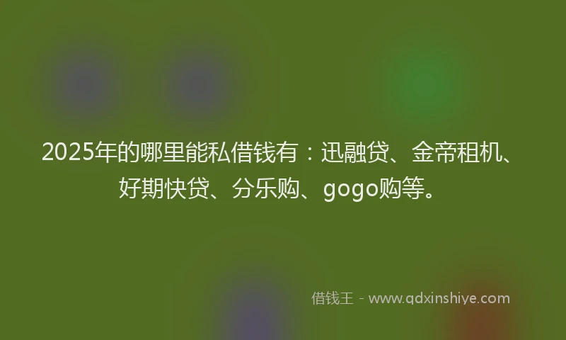 2025年的哪里能私借钱有：迅融贷、金帝租机、好期快贷、分乐购、gogo购等。