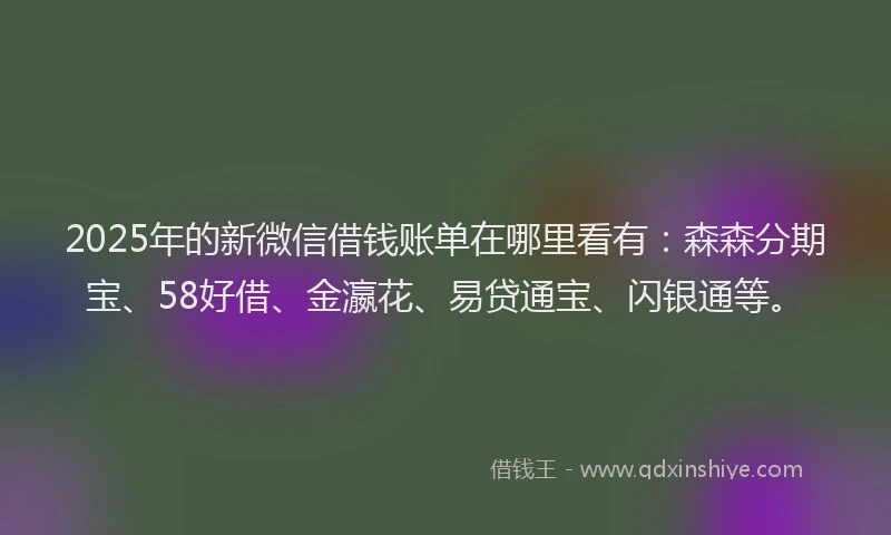 2025年的新微信借钱账单在哪里看有：森森分期宝、58好借、金瀛花、易贷通宝、闪银通等。