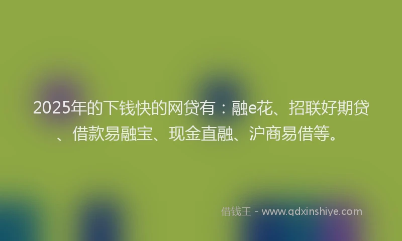 2025年的下钱快的网贷有：融e花、招联好期贷、借款易融宝、现金直融、沪商易借等。