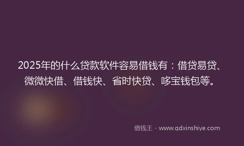 2025年的什么贷款软件容易借钱有：借贷易贷、微微快借、借钱快、省时快贷、哆宝钱包等。
