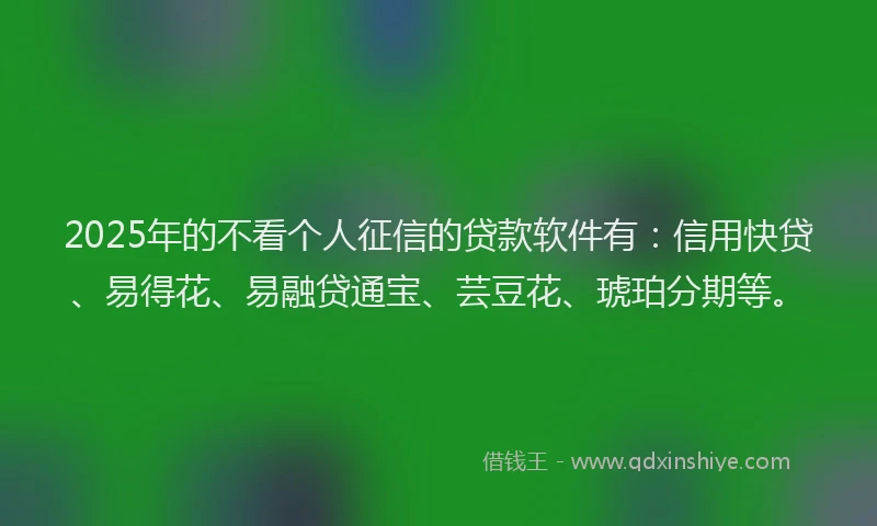 2025年的不看个人征信的贷款软件有：信用快贷、易得花、易融贷通宝、芸豆花、琥珀分期等。
