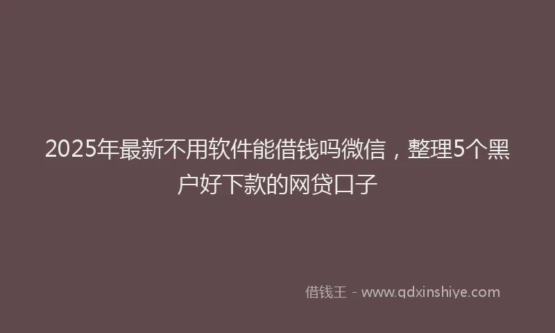 2025年最新不用软件能借钱吗微信，整理5个黑户好下款的网贷口子