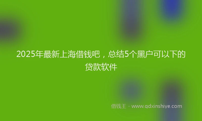 2025年最新上海借钱吧，总结5个黑户可以下的贷款软件