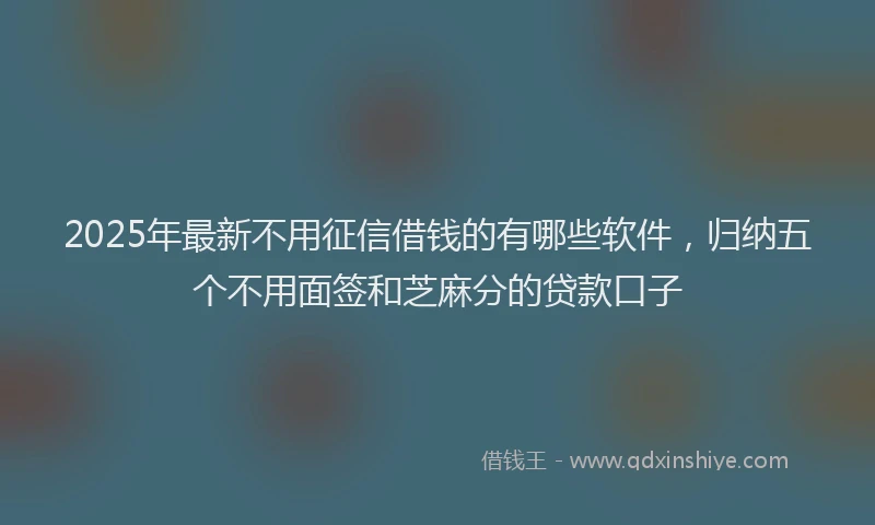 2025年最新不用征信借钱的有哪些软件，归纳五个不用面签和芝麻分的贷款口子