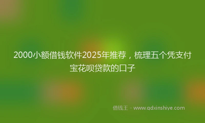 2000小额借钱软件2025年推荐，梳理五个凭支付宝花呗贷款的口子