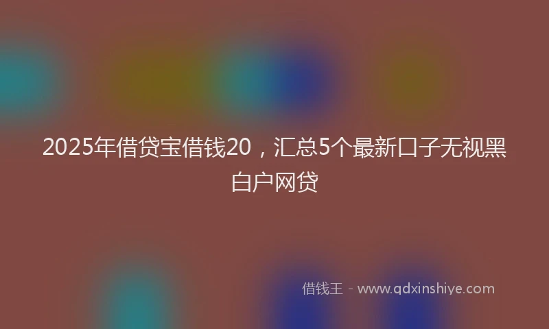 2025年借贷宝借钱20，汇总5个最新口子无视黑白户网贷