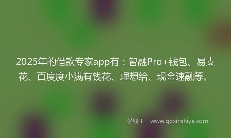 2025年的借款专家app有：智融Pro+钱包、易支花、百度度小满有钱花、理想给、现金速融等。