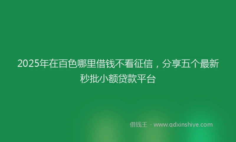 2025年在百色哪里借钱不看征信，分享五个最新秒批小额贷款平台