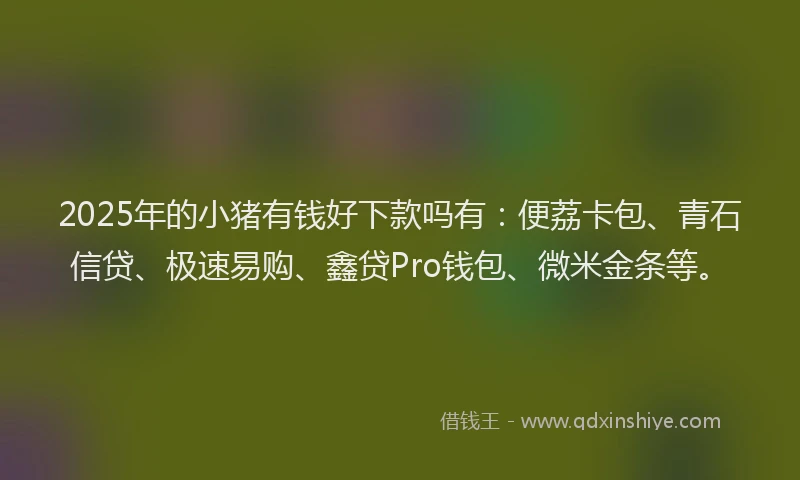 2025年的小猪有钱好下款吗有：便荔卡包、青石信贷、极速易购、鑫贷Pro钱包、微米金条等。