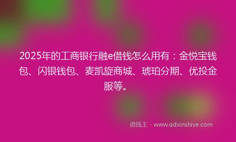 2025年的工商银行融e借钱怎么用有：金悦宝钱包、闪银钱包、麦凯旋商城、琥珀分期、优投金服等。