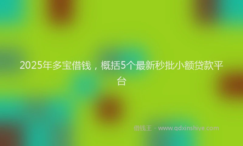 2025年多宝借钱，概括5个最新秒批小额贷款平台