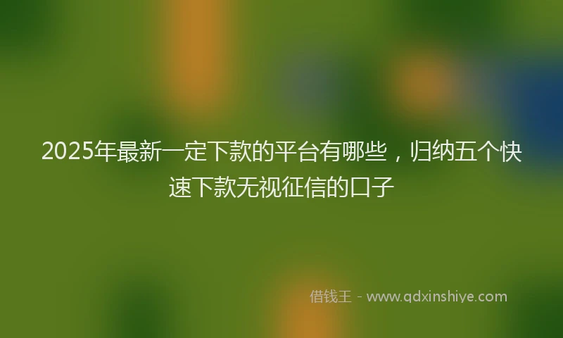 2025年最新一定下款的平台有哪些，归纳五个快速下款无视征信的口子
