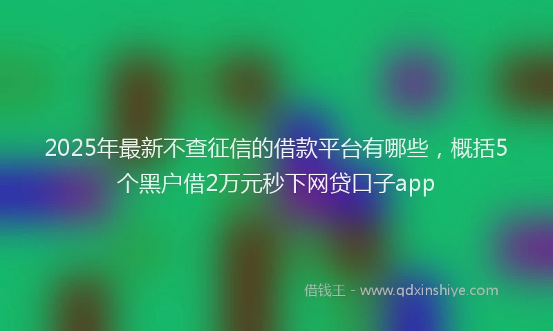 2025年最新不查征信的借款平台有哪些，概括5个黑户借2万元秒下网贷口子app