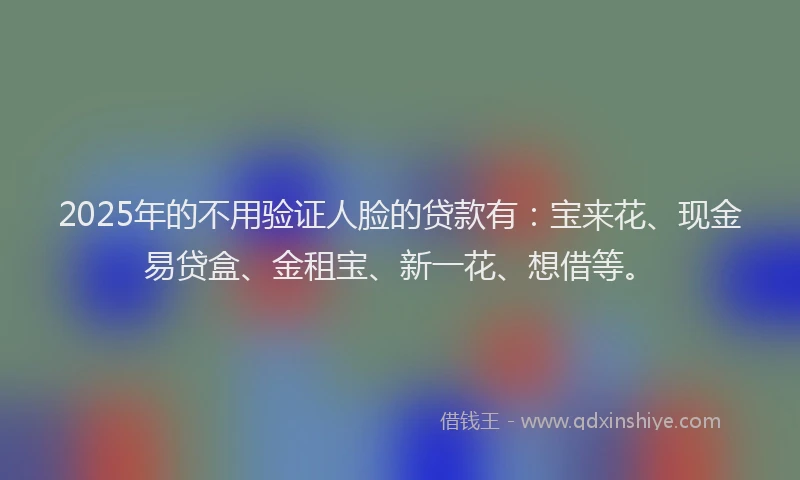 2025年的不用验证人脸的贷款有：宝来花、现金易贷盒、金租宝、新一花、想借等。