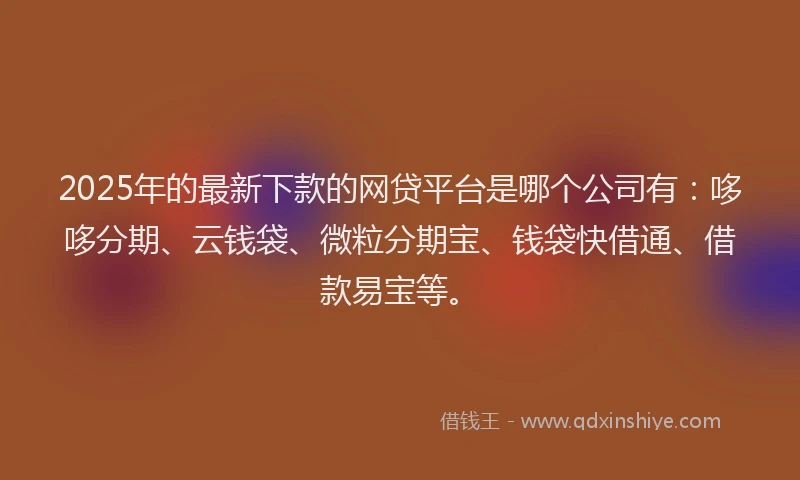 2025年的最新下款的网贷平台是哪个公司有：哆哆分期、云钱袋、微粒分期宝、钱袋快借通、借款易宝等。
