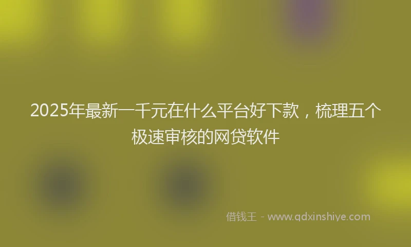 2025年最新一千元在什么平台好下款，梳理五个极速审核的网贷软件