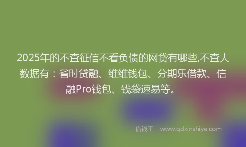 2025年的不查征信不看负债的网贷有哪些,不查大数据有：省时贷融、维维钱包、分期乐借款、信融Pro钱包、钱袋速易等。