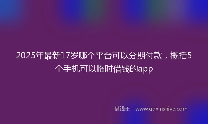 2025年最新17岁哪个平台可以分期付款，概括5个手机可以临时借钱的app
