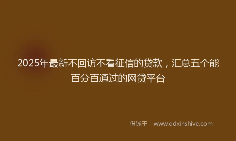 2025年最新不回访不看征信的贷款，汇总五个能百分百通过的网贷平台