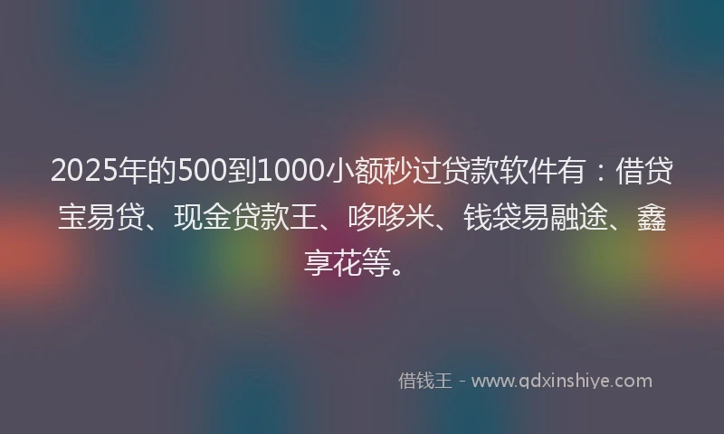 2025年的500到1000小额秒过贷款软件有：借贷宝易贷、现金贷款王、哆哆米、钱袋易融途、鑫享花等。
