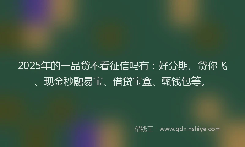 2025年的一品贷不看征信吗有：好分期、贷你飞、现金秒融易宝、借贷宝盒、甄钱包等。