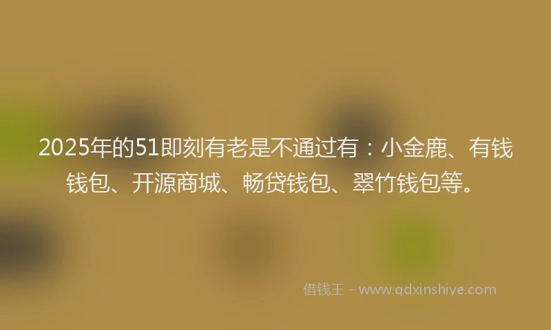 2025年的51即刻有老是不通过有：小金鹿、有钱钱包、开源商城、畅贷钱包、翠竹钱包等。