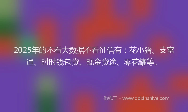 2025年的不看大数据不看征信有：花小猪、支富通、时时钱包贷、现金贷途、零花罐等。