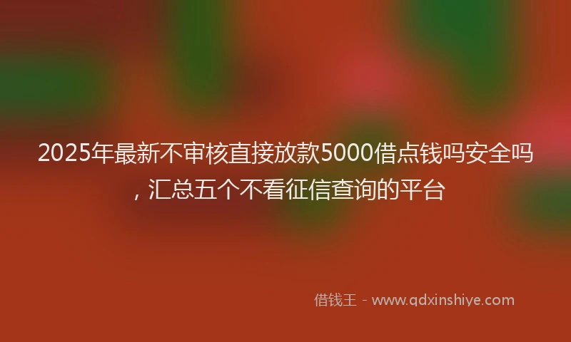 2025年最新不审核直接放款5000借点钱吗安全吗，汇总五个不看征信查询的平台