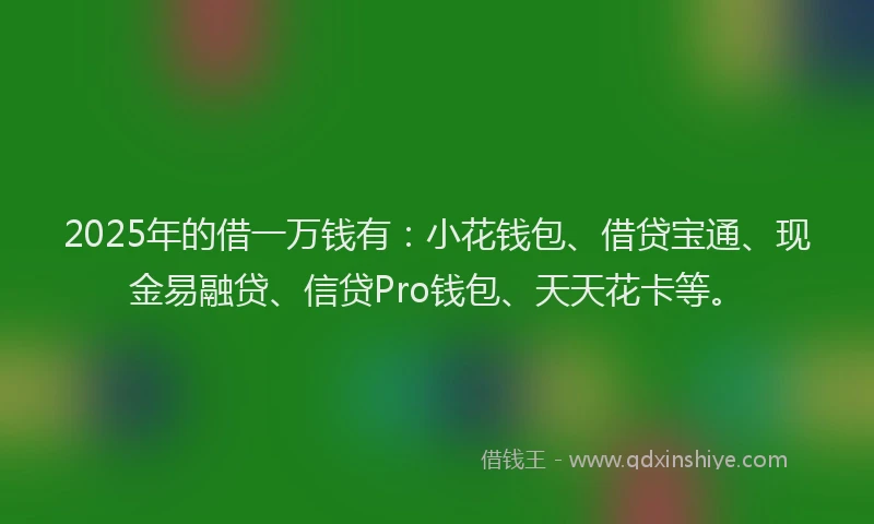 2025年的借一万钱有：小花钱包、借贷宝通、现金易融贷、信贷Pro钱包、天天花卡等。