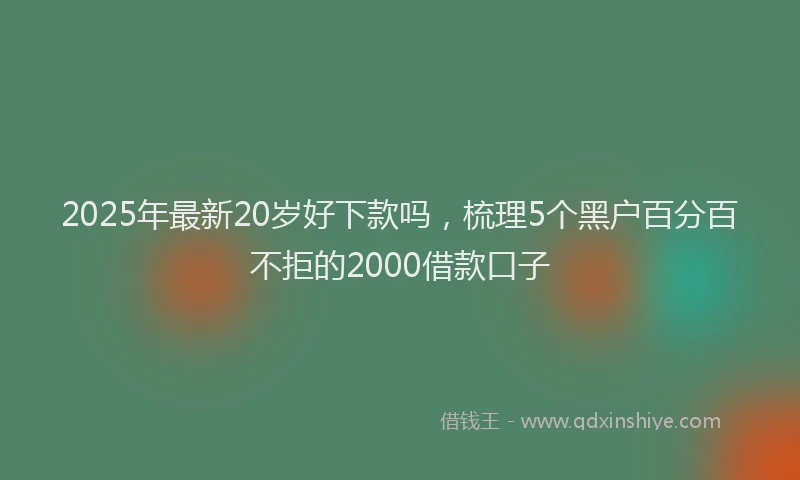 2025年最新20岁好下款吗，梳理5个黑户百分百不拒的2000借款口子