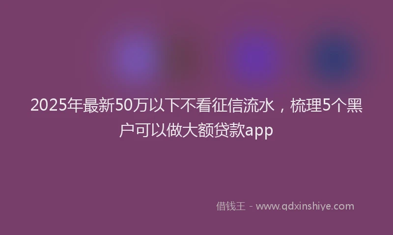 2025年最新50万以下不看征信流水，梳理5个黑户可以做大额贷款app