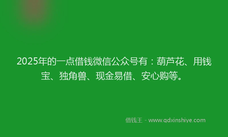 2025年的一点借钱微信公众号有：葫芦花、用钱宝、独角兽、现金易借、安心购等。