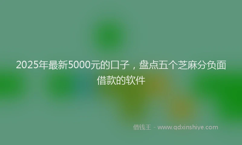 2025年最新5000元的口子，盘点五个芝麻分负面借款的软件