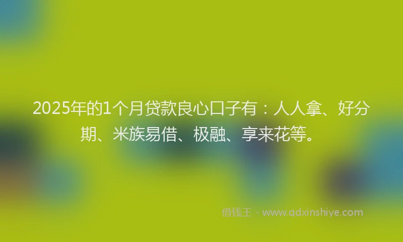 2025年的1个月贷款良心口子有：人人拿、好分期、米族易借、极融、享来花等。