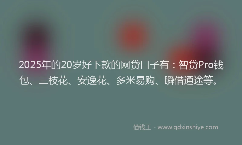 2025年的20岁好下款的网贷口子有：智贷Pro钱包、三枝花、安逸花、多米易购、瞬借通途等。