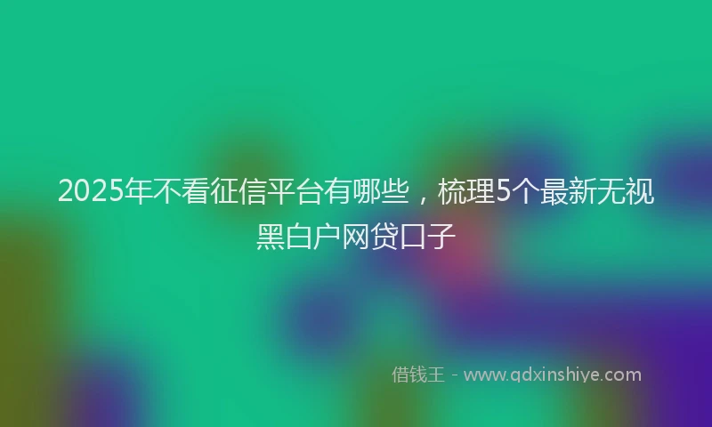 2025年不看征信平台有哪些，梳理5个最新无视黑白户网贷口子