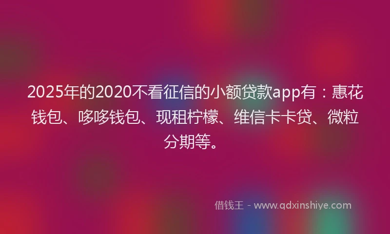 2025年的2020不看征信的小额贷款app有：惠花钱包、哆哆钱包、现租柠檬、维信卡卡贷、微粒分期等。
