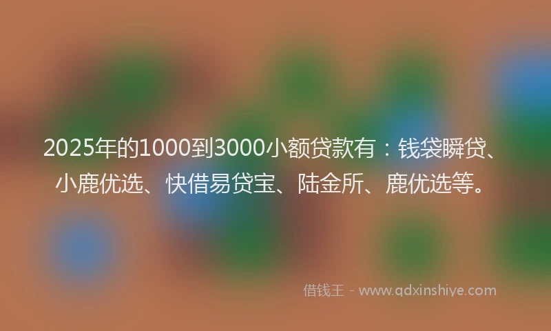 2025年的1000到3000小额贷款有：钱袋瞬贷、小鹿优选、快借易贷宝、陆金所、鹿优选等。
