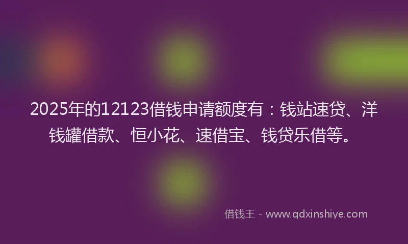 2025年的12123借钱申请额度有：钱站速贷、洋钱罐借款、恒小花、速借宝、钱贷乐借等。