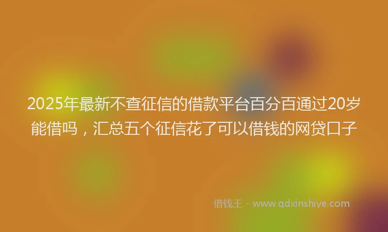 2025年最新不查征信的借款平台百分百通过20岁能借吗，汇总五个征信花了可以借钱的网贷口子