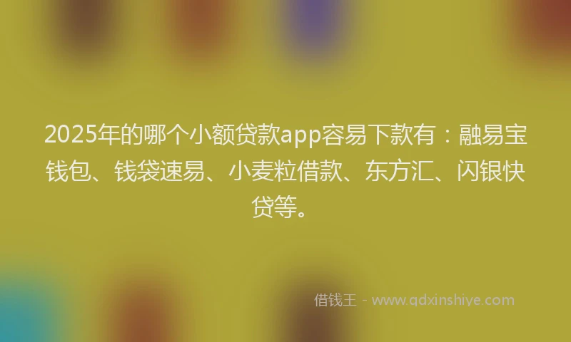 2025年的哪个小额贷款app容易下款有：融易宝钱包、钱袋速易、小麦粒借款、东方汇、闪银快贷等。